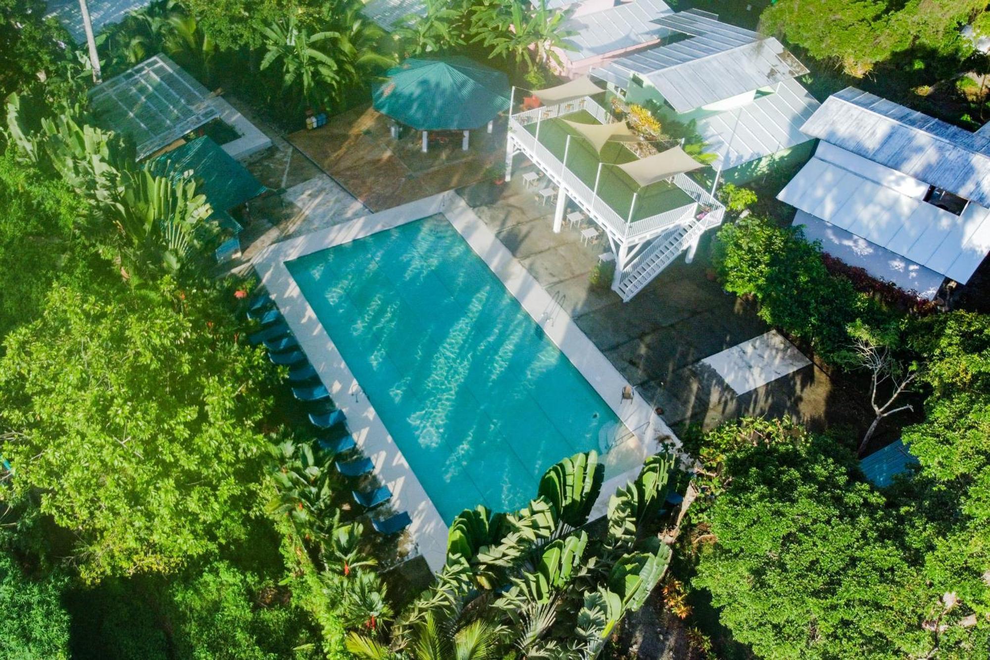 Puerto Viejo Club, & Pool